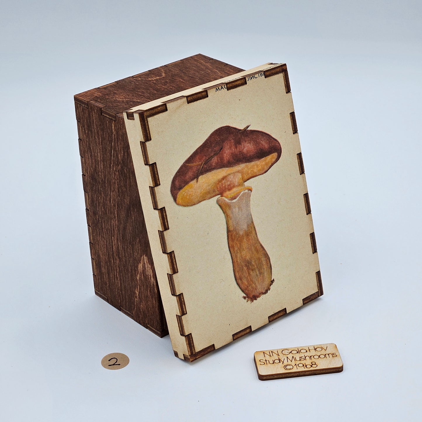 1968 "Study Mushrooms" Story Boxes