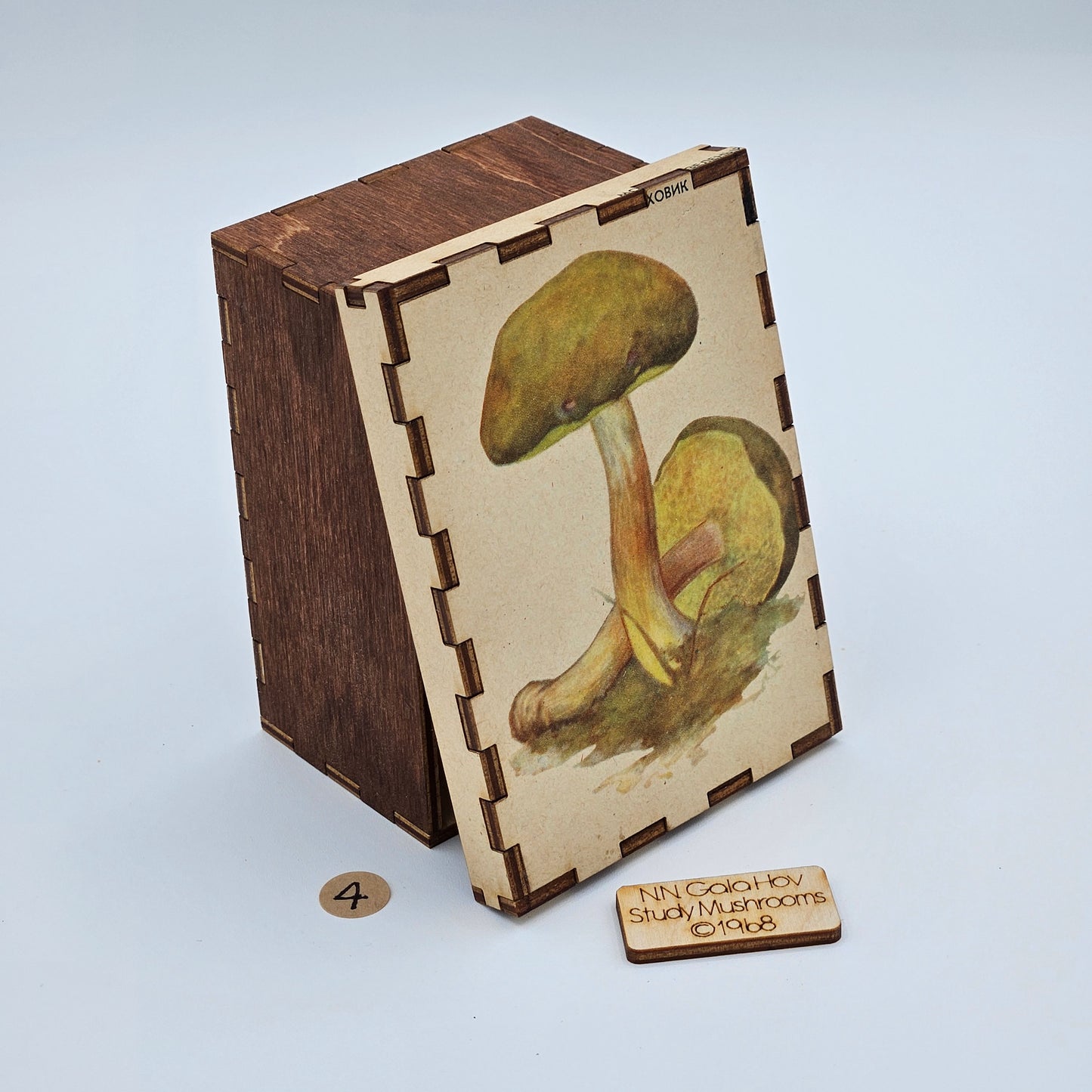 1968 "Study Mushrooms" Story Boxes