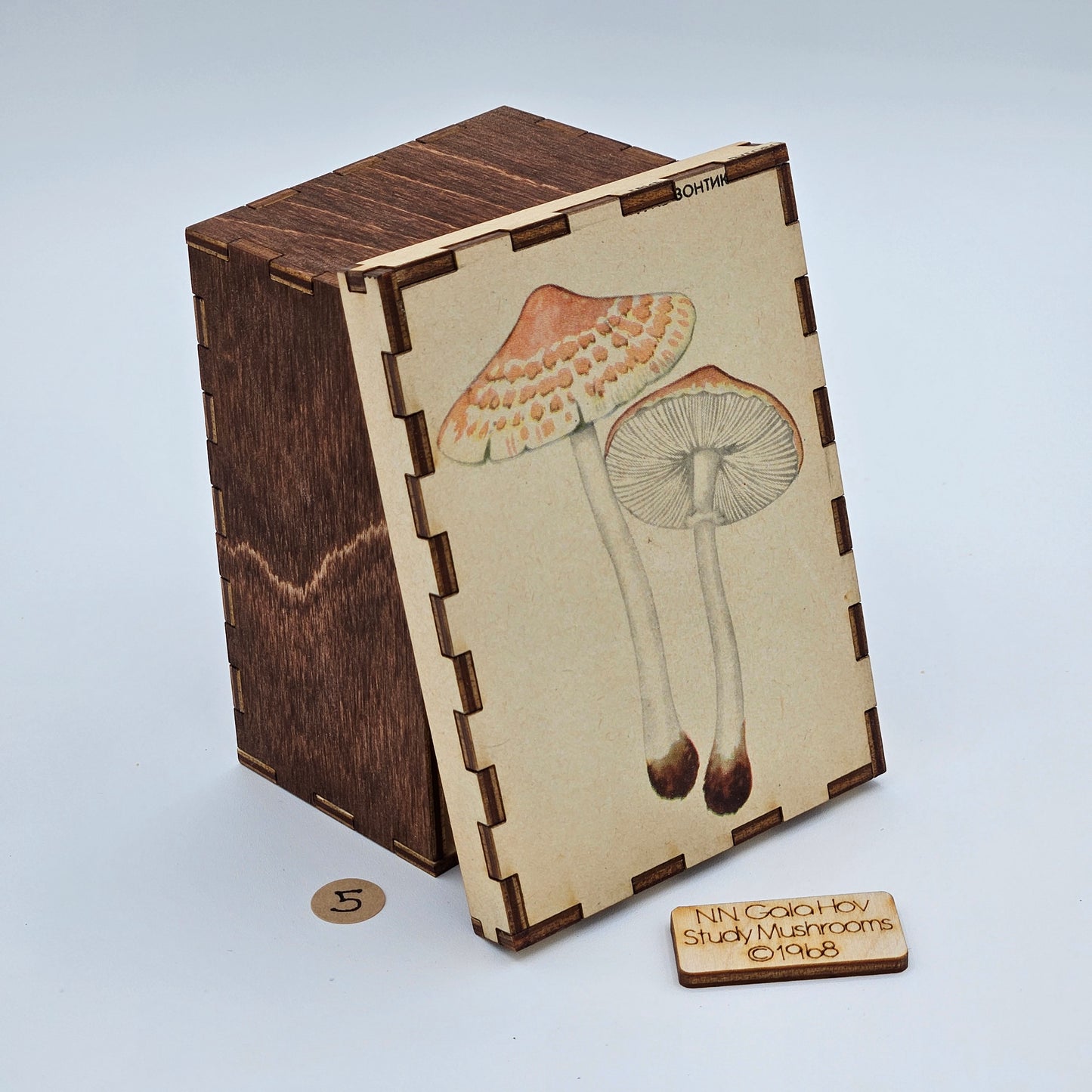 1968 "Study Mushrooms" Story Boxes