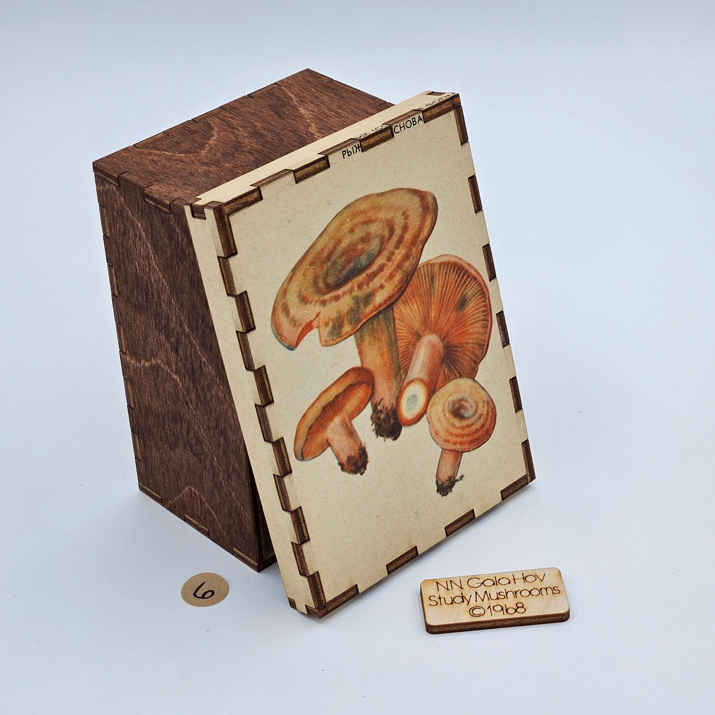 1968 "Study Mushrooms" Story Boxes